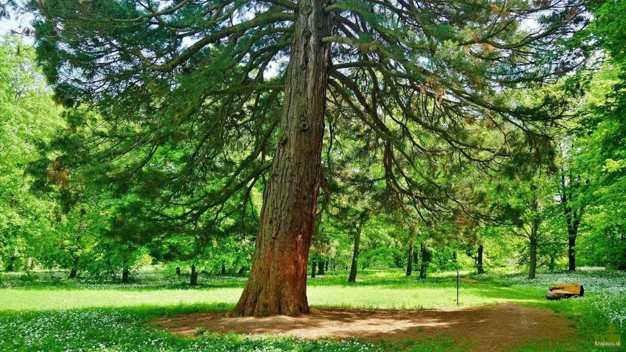 Agropenzion 7Divov Dolna Krupa Экстерьер фото